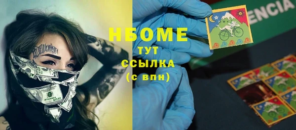 прущие грибы Каменка
