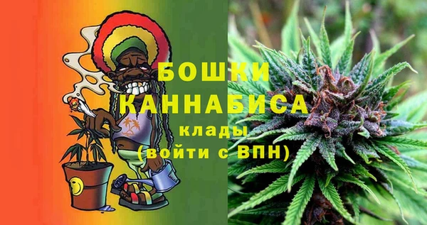прущие грибы Каменка