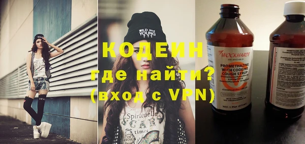 прущие грибы Каменка