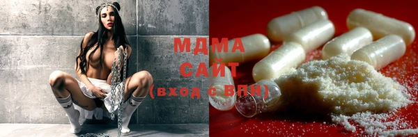 прущие грибы Каменка
