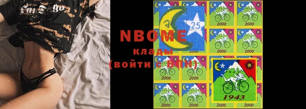 прущие грибы Каменка
