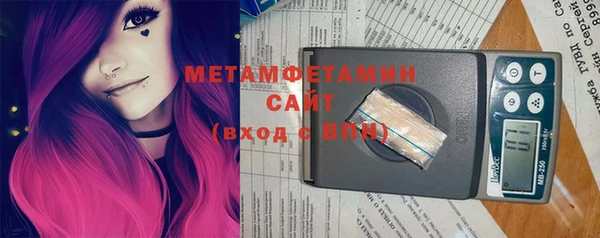 прущие грибы Каменка